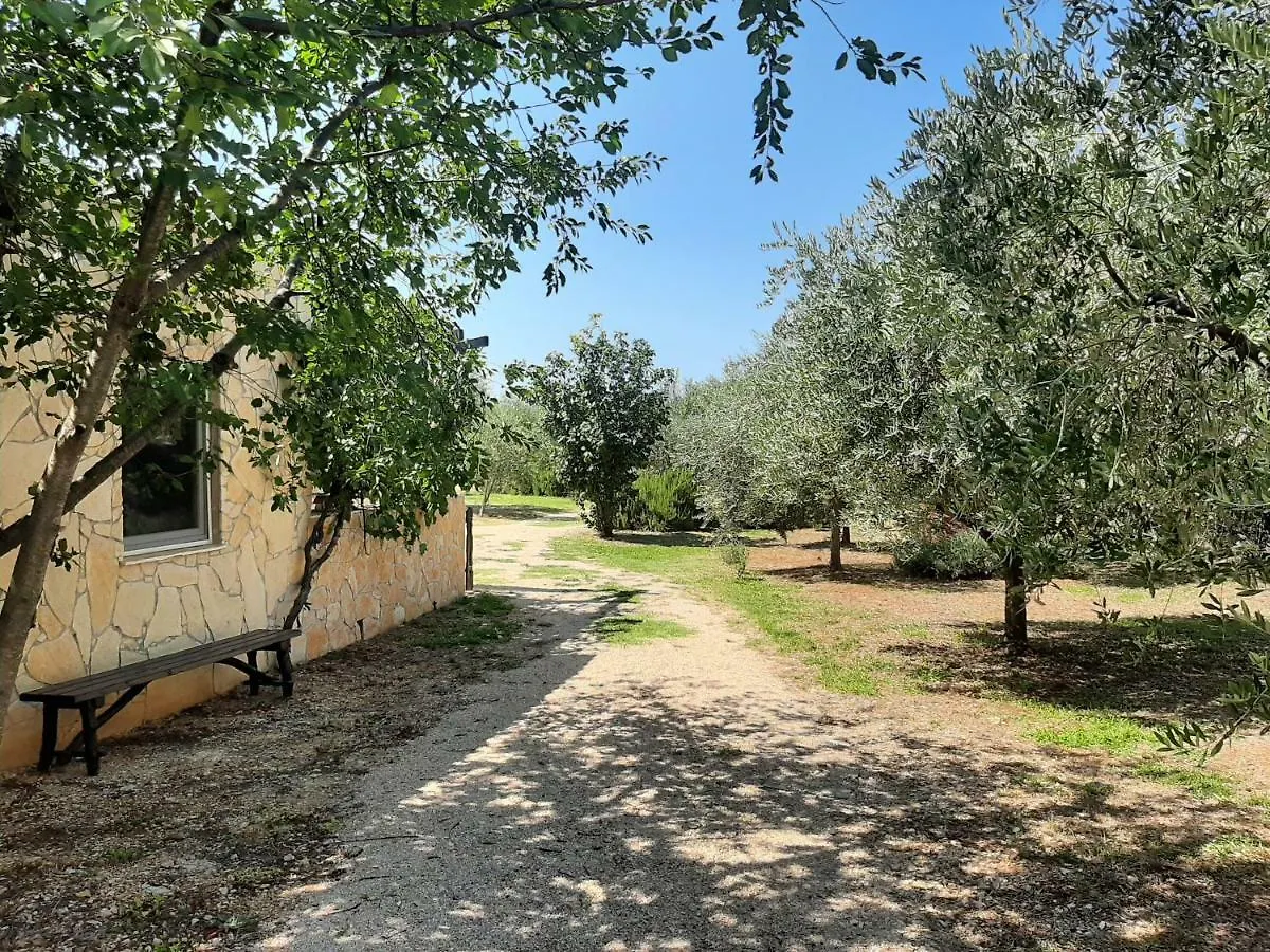 פונאנט Holiday House Pulina